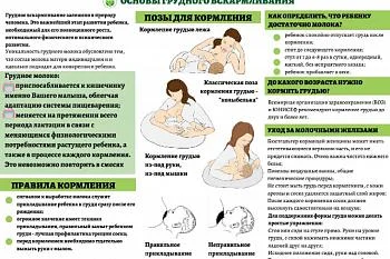 Грудное вскармливание