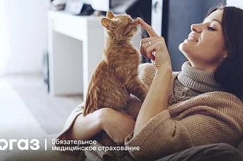 О внимании к аллергии