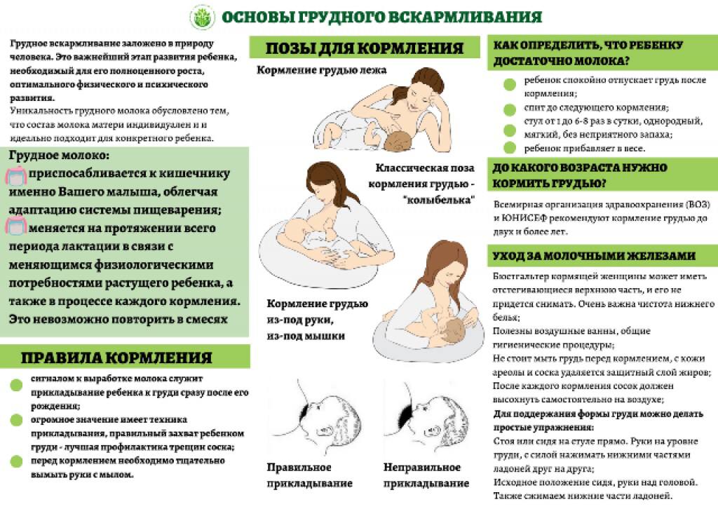 Грудное вскармливание