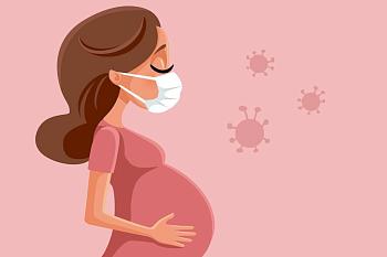 Вакцинация беременных Вакцинация беременных