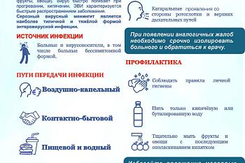 Профилактика энтеровирусной инфекции